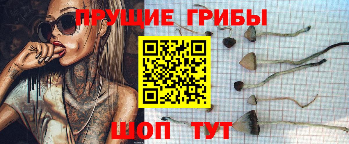 Галлюциногенные грибы MAGIC MUSHROOMS Хасавюрт