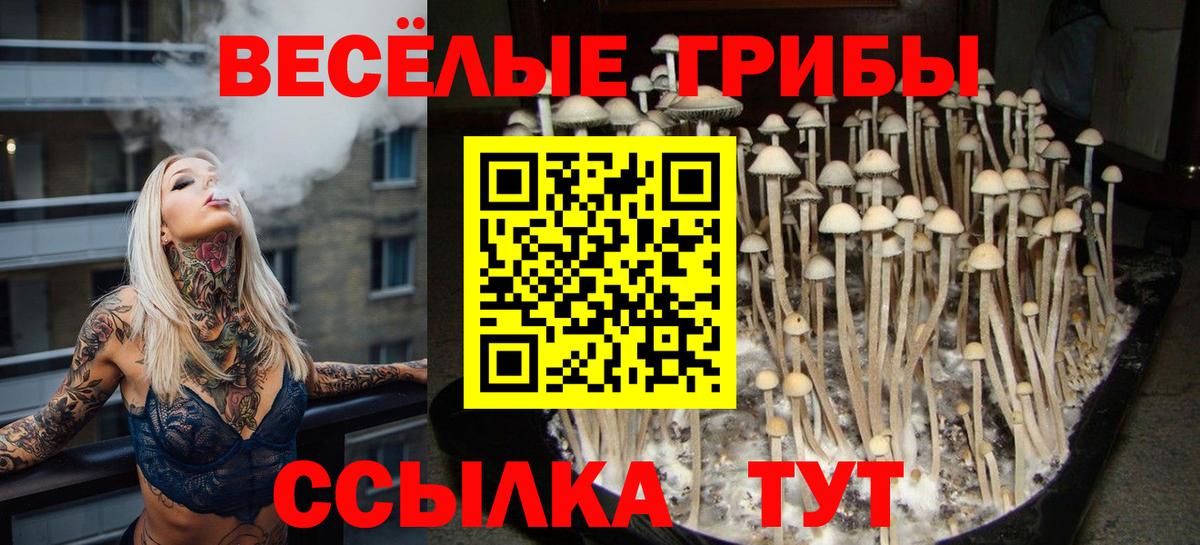 Галлюциногенные грибы Psilocybine cubensis  Галлюциногенные грибы Magic Shrooms  Хасавюрт  Вход с VPN 